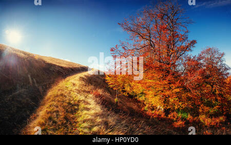 rock massif in the Carpathians. Stock Photo