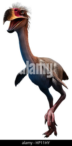A 3D illustration of the extinct Terror Bird Known as Gastornis on a ...