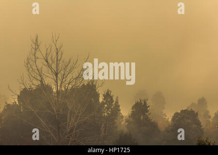 Fog in Mountain Stock Photo