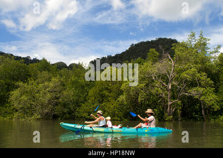 People enjoy kayak padding through the mangrove forest and sea cave. SEAKAYAK BOR THOR. Krabi. Thailand. Asia. The north part of Krabi province boasts Stock Photo