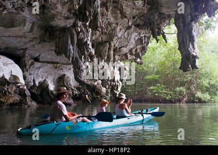 People enjoy kayak padding through the mangrove forest and sea cave. SEAKAYAK BOR THOR. Krabi. Thailand. Asia. The north part of Krabi province boasts Stock Photo