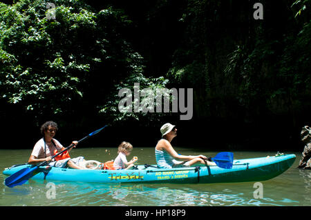 People enjoy kayak padding through the mangrove forest and sea cave. SEAKAYAK BOR THOR. Krabi. Thailand. Asia. The north part of Krabi province boasts Stock Photo