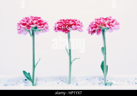 Flower arrangement Stock Photo
