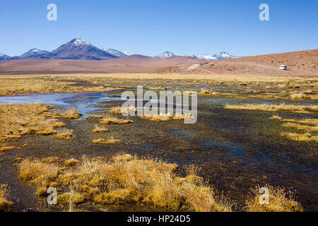 Altiplano, Vado Putana, near El Tatio geysers,in background Andes Mountains, Atacama desert. Region de Antofagasta. Chile Stock Photo