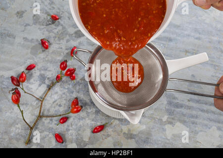 Hagebutten-Marmelade kochen, Marmelade aus Hagebutten kochen, gekochte Früchte werden durch ein Sieb gepresst, Hunds-Rose, Hundsrose, Heckenrose, Rose Stock Photo