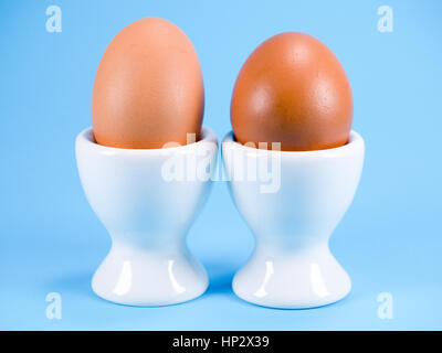 Two eggs in white egg cups on a blue studio background Stock Photo