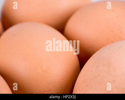 Half a dozen Organic Free Range eggs in a white square bowl Stock Photo