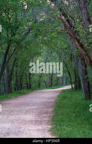 Trail in Brazos Bend State Park, Houston,Texas Stock Photo