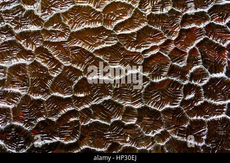 background of an opaque glass rough texture Stock Photo