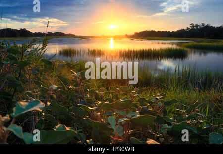 A landscape photo of sunrise over the marsh near Bass Pond on Kiawah Island in South Carolina. Stock Photo