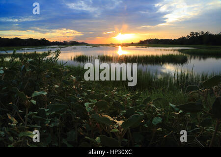 A landscape photo of sunrise over the marsh near Bass Pond on Kiawah Island in South Carolina. Stock Photo