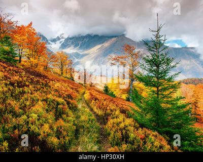 mountain range in the Carpathian Mountains in the autumn season. Stock Photo