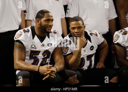 Baltimore ravens ray lewis teams hi-res stock photography and images - Alamy