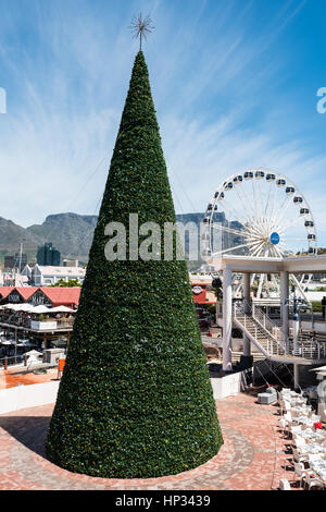 Cape Town, South Africa - November 15, 2016: Christmas preparation at the famous Victoria and Alfred (V&A) Waterfront of Cape Town with the Table Moun Stock Photo