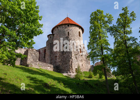 Ruins of the ancient castle in old town of Cesis. There was a residence of the Livonian order (teutonic knights) in the middle ages, Latvia Stock Photo