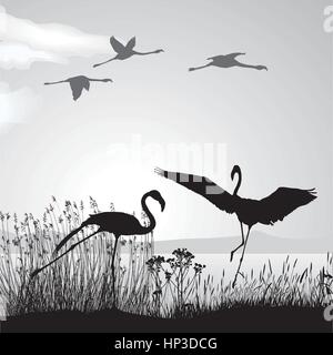 Flamingo On Lake Shore Stock Vector