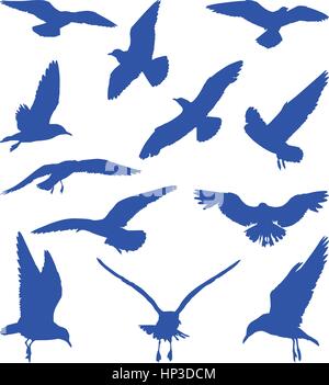 Birds, seagulls in blue silhouettes Stock Vector