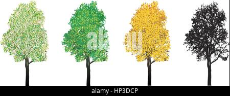 deciduous tree, change, climate, cold, countryside, environment, flowering, foliage, four, frost, green, growth, illustration, landscape, leaves, Stock Vector