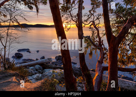 Sunrise at Aylard Farm beach-East Sooke Park, British Columbia, Canada. Stock Photo