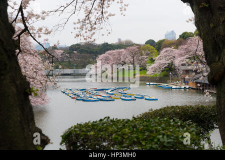 Rowing boats in the Imperial Palace moat in Tokyo, Japan
