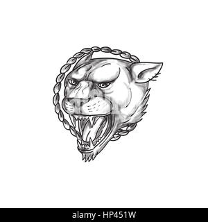Tattoo style illustration of a lioness growling with rope in the background set on isolated white background. Stock Photo