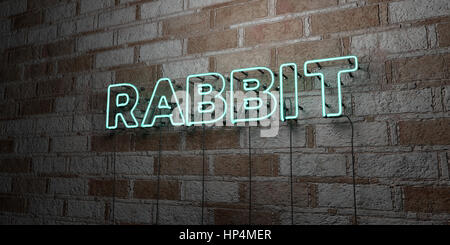 RABBIT - Glowing Neon Sign on stonework wall - 3D rendered royalty free stock illustration.  Can be used for online banner ads and direct mailers. Stock Photo