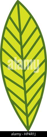silhouette leaf with ramifications icon Stock Vector Image & Art - Alamy