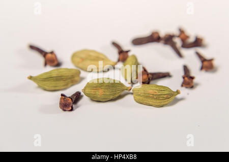 cardamom an cloves close up on a white background Stock Photo