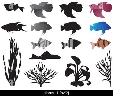 Fishes and algae for aquarium, silhouettes and color images Stock Vector