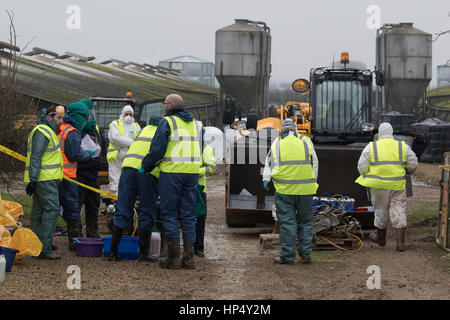 Defra officials dealing with an outbreak of H5N8 Bird Flu near Boston Lincolnshire  Picture Tim Scrivener 07850 303986 tim@agriphoto.com ….covering agriculture in the UK…. Stock Photo