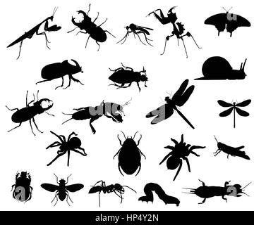 Collection of silhouettes of different species of insects Stock Vector