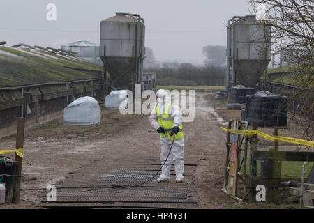 Defra officials dealing with an outbreak of H5N8 Bird Flu near Boston Lincolnshire Stock Photo