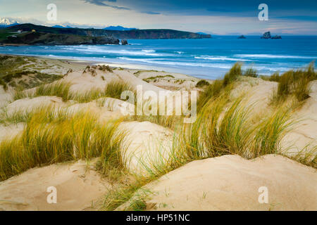 Dunes and beach Stock Photo
