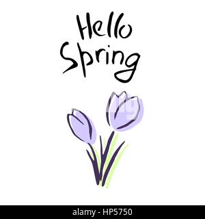 Hello Spring Lettering, Cute lilac flowers. crocus sketch. Hand drawn. Brush pen. For Poster, Advertising, postcards, prints, textile, banner, web, de Stock Vector
