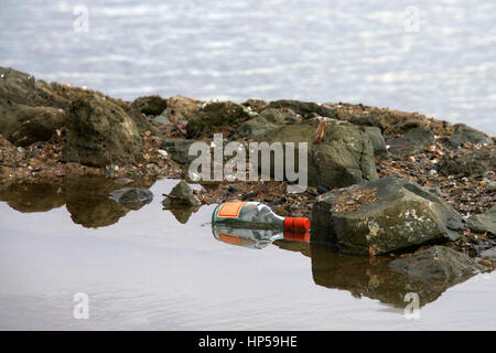 Empty glass bottle discarded in a tide pool by the beach. One million seabirds are killed by marine litter every year Stock Photo