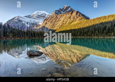 Reflection of Mount Edith Cavell in Cavell Lake at sunrise, Jasper National Park, Alberta, Canada Stock Photo