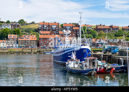 Moored fishing boats in Whitby harbour with houses in the background, North Yorkshire, UK Stock Photo