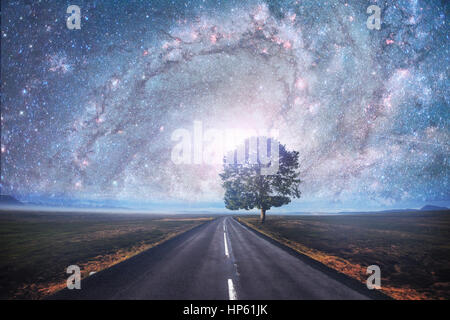 Asphalt road and lonely tree under a starry night sky and the Milky Way ...