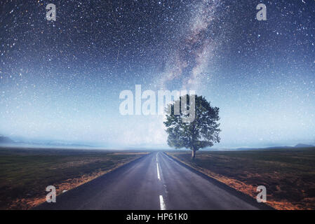 Asphalt road and lonely tree under a starry night sky and the Milky Way ...