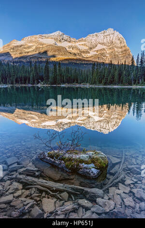 Calm O'Hara lake and reflection at sunrise in the backcountry of the Canadian Rockies , Yoho National Park, British Columbia. Stock Photo