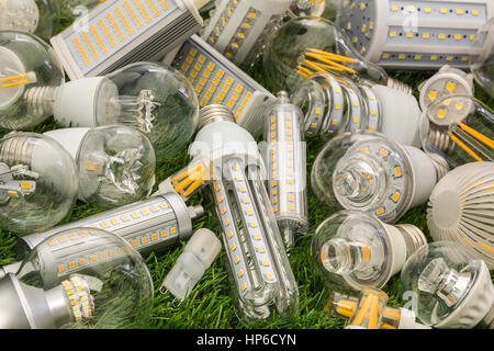 big family of eco LED bulbs of various types on the green grass