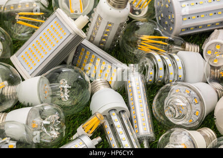 big family of eco LED bulbs of various types on the green grass
