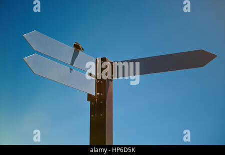 Signpost with three arrows on blue sky background. Closeup of crossroad sign Stock Photo
