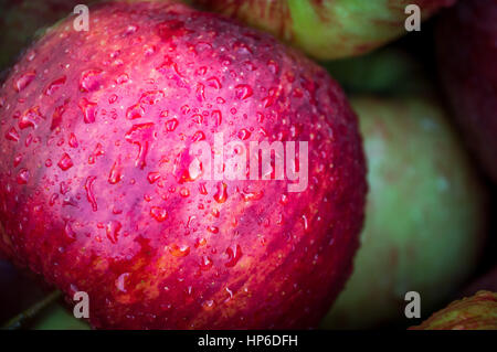 Premium Photo  Ripe and juicy green apples with dew drops.