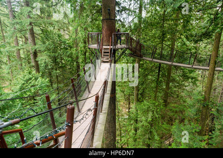 Vancouver, Canada - January 28, 2017: One of the many suspension walkways in the treetops at the Capilano Suspension Bridge Park, Vancouver. Stock Photo