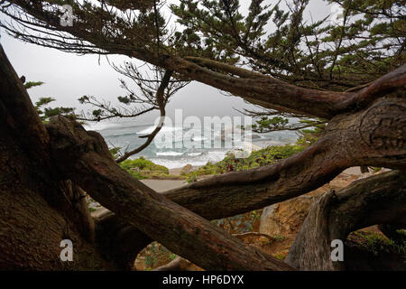 Seal Rock with a partial view of the Cliff House in San Francisco, CA Stock Photo