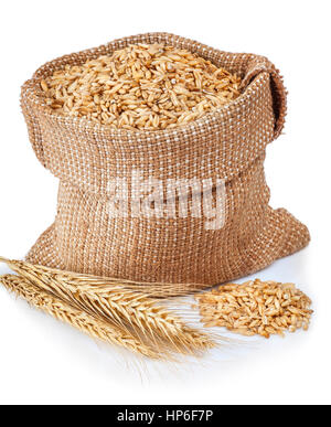 grains of wheat or rye in bag with bunch of dry ears isolated on white background Stock Photo