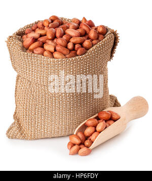 Peanut or groundnut with wooden scoop in burlap bag isolated on white background. Peanut in sack on white background. Full burlap bag of peanuts Stock Photo