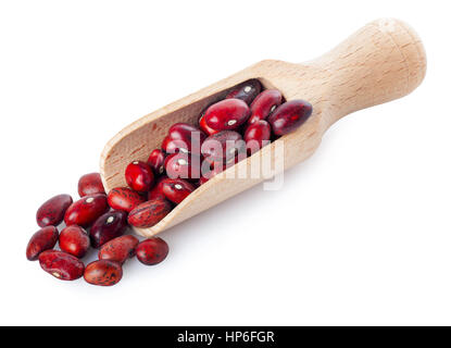 Raw adzuki beans on wooden scoop on a white background. Beans, red kidney beans in a wooden spoon on a white background. Red beans Stock Photo