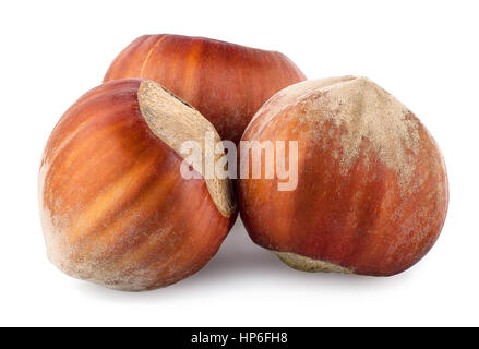 Nuts filberts isolated on white background. Three whole hazelnuts isolated on white background closeup macro Stock Photo